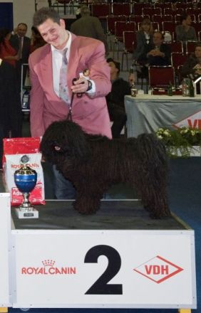 Peiren von Discher´s Hoff