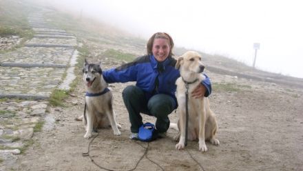 Hundekrankengymnastik Hundefit