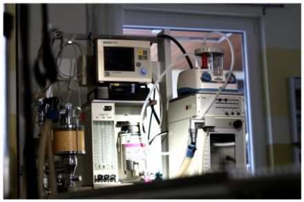 TIERARZTPRAXIS Zimmermann