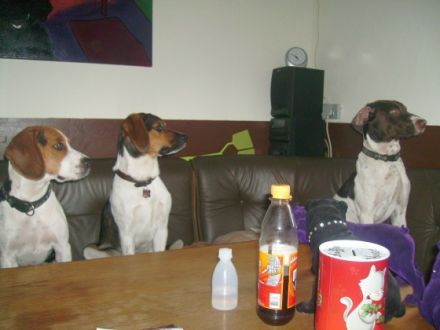 Huta-Nottuln ihre Hundetagesstätte