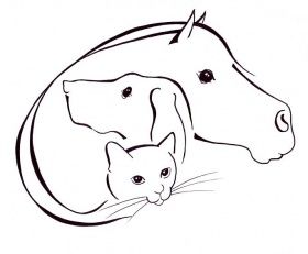 Tierheilpraxis Eva Cau