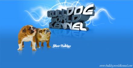 Bulldog World