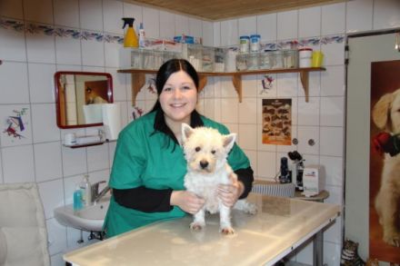 TIERHEILPRAXIS LANGHOJER