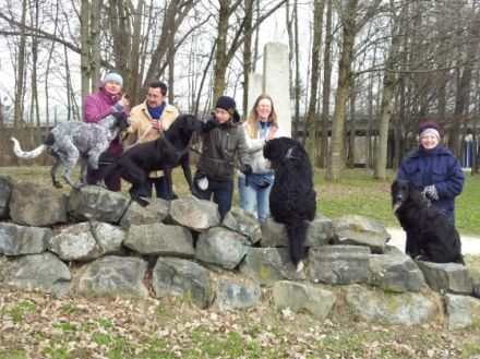 Hundgerecht - Tier & Wir im Allgäu - Verhaltensth.