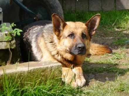 vom Altenburger Land