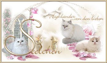 Von den lieben Seelchen