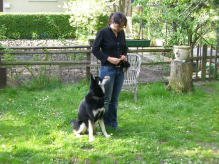 Hundeschule an der Oker