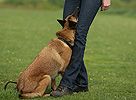 Hundeschule BODYTALK