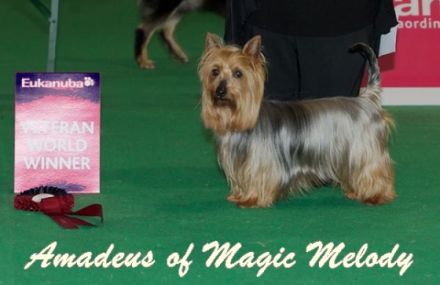 vom Zerbster Schloß