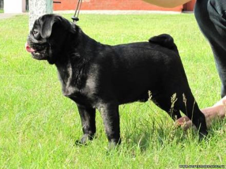 INTAR SAVLAAR TREASURE HAUS