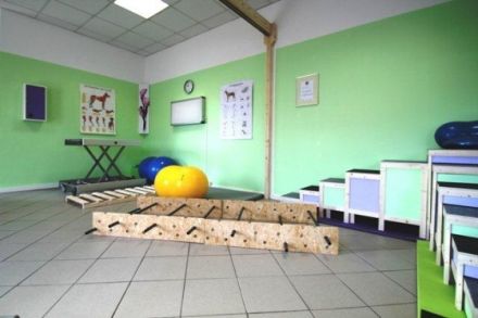 janathera - Physiotherapie für Tiere