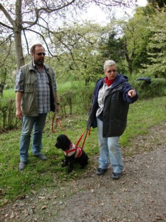 Hundeschule HundeWolf