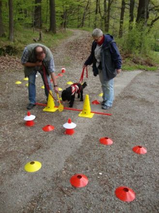 Hundeschule HundeWolf