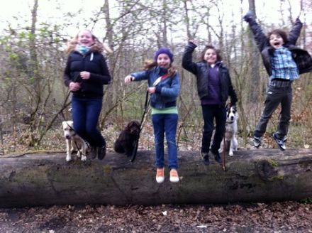 Hundeschule Fell & Pfote in Konstanz