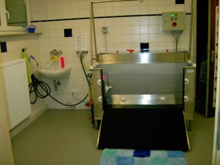 Praxis für Hundephysiotherapie Andrea Schatz