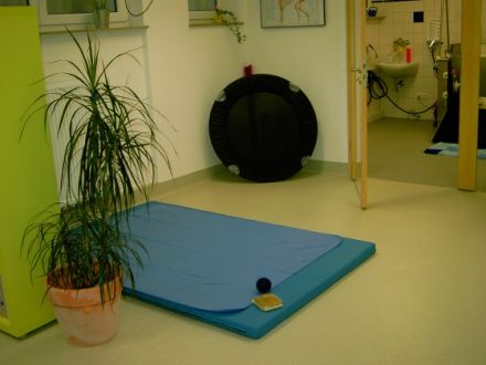 Praxis für Hundephysiotherapie Andrea Schatz