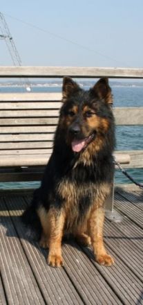 H`Sky vom Altdeutschen Eck