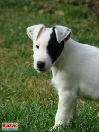 z Karpatských strání