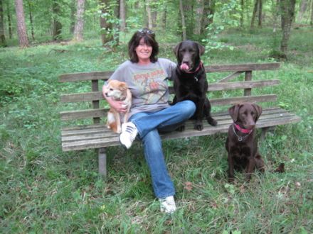 sos-dogcoach Saarbrücken