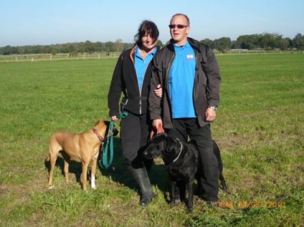 Hundetrainerteam-Hannover