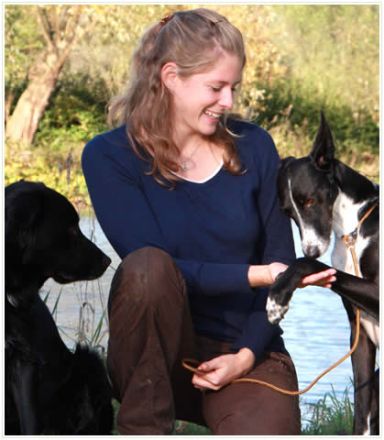 Hundeschule domestic dog