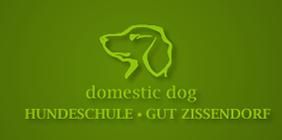 Hundeschule domestic dog
