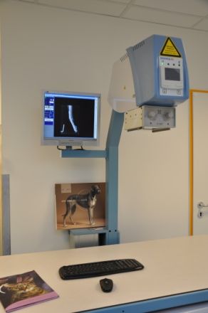 KleintierCentrum Wedel