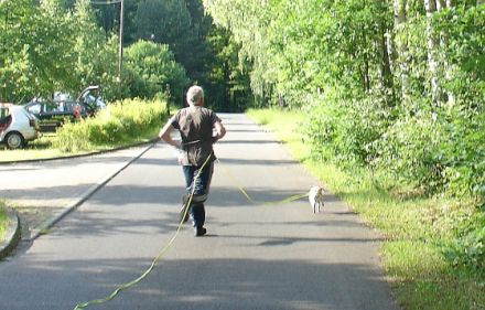 Schlaubetaler Hunde-Akademie