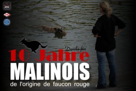 de l'origine de faucon rouge