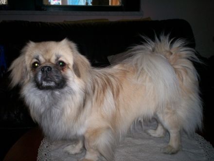 Sonnenschein von Schöpf