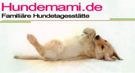 Hundepension & Hundetagesstätte Ludwig