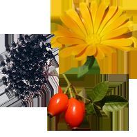 Antje Parrey - Tierphysiotherapie und Naturheilkunde