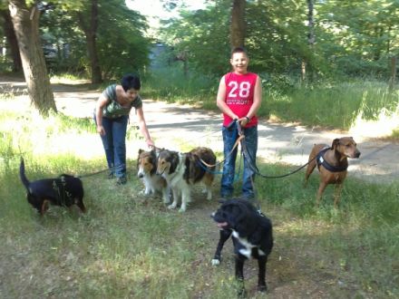 Hundepension Annett Gackowsky