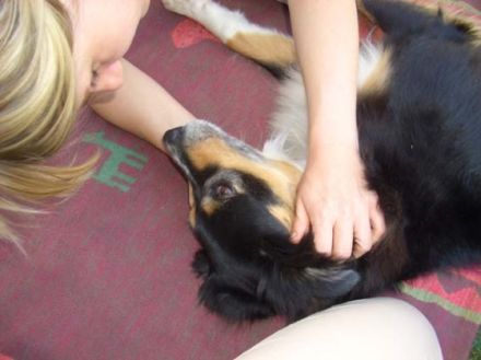 Praxis für Hundeosteopathie Marina Eßer