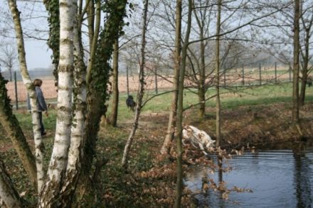 Hundepension Hundelogik