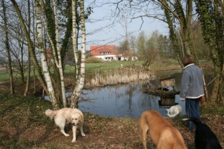 Hundepension Hundelogik