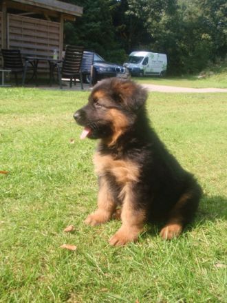 vom Altdeutschen Camp