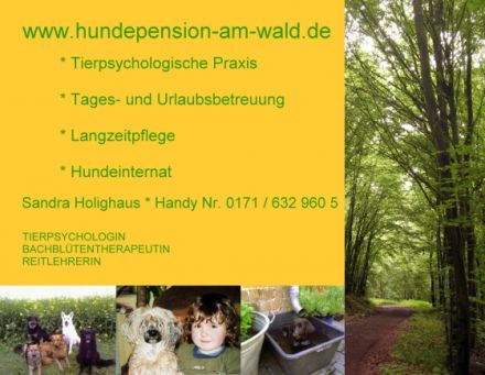 Hundepension am Wald