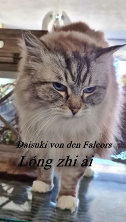 von den Falcors