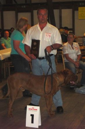 Derek von der Vorderpfalz