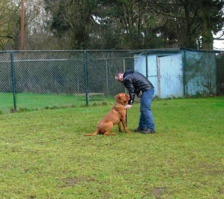 Derek von der Vorderpfalz