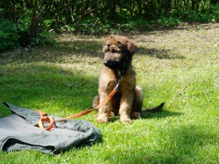 MONDENKINDER HUNDESCHULE