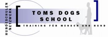 Toms Dogs School