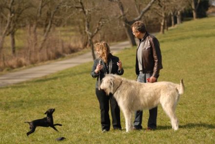 Dialog zwischen Mensch und Tier