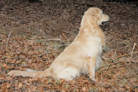 Sam Welt-Sieger DKU-EKU