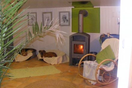 Freddys Tiersitter Service