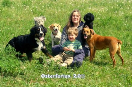 Freddys Tiersitter Service