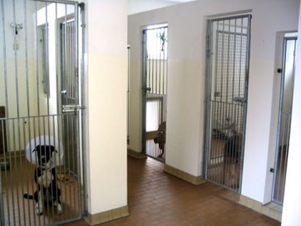 Hundepension Helmut Gerats