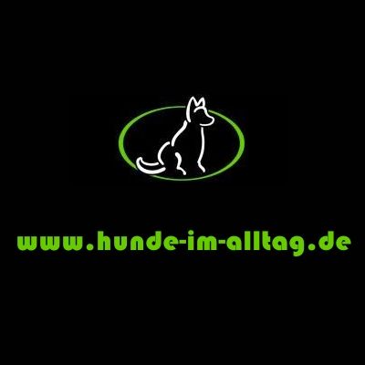 Hunde im Alltag