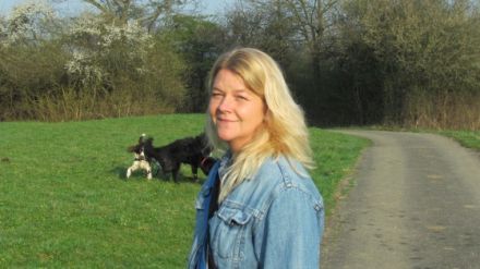 Hundepension dogs guesthouse